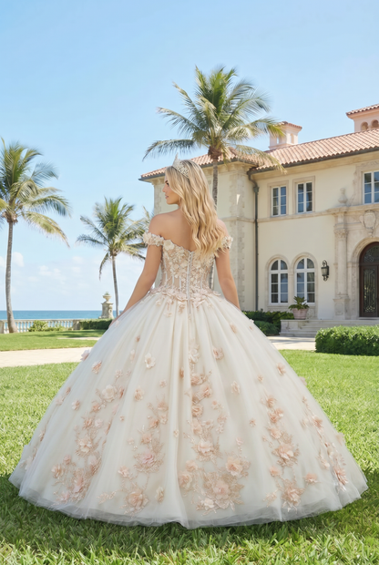 Charming Ball Gown Illusion Neck Quinceañera Dress With 3D Floral & Lace | Sevoba