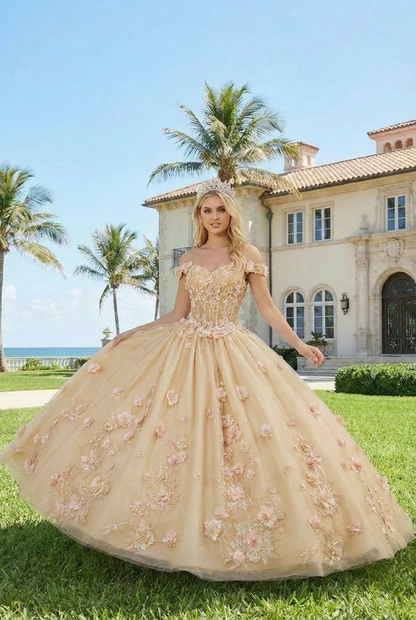 Charming Ball Gown Illusion Neck Quinceañera Dress With 3D Floral & Lace | Sevoba