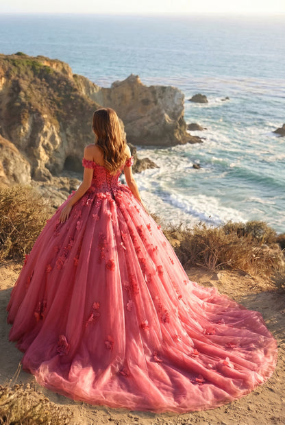 Charming Ball Gown Cold Shoulder Quinceañera Dress With 3D Floral & Lace | Sevoba