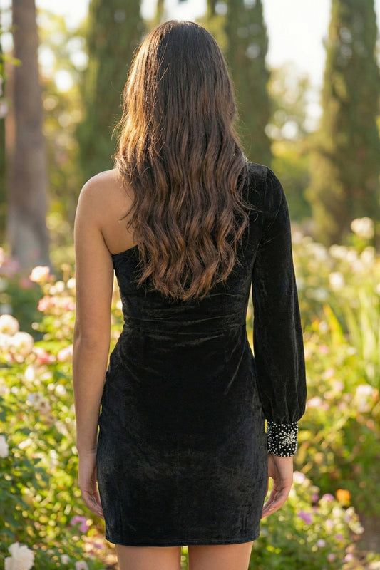 Sheath Velvet One-Shoulder Long Sleeve Homecoming Dress with Beads | Sevoba